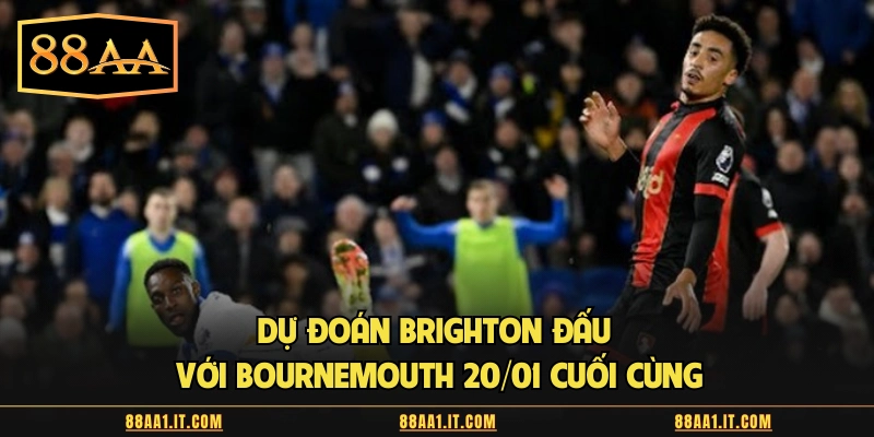Dự đoán Brighton đấu với Bournemouth 20/01 cuối cùng